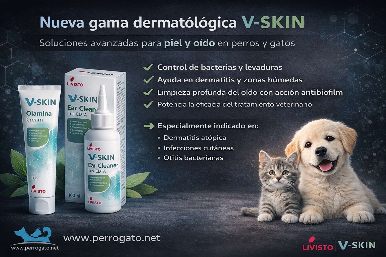LINEA V-KIN